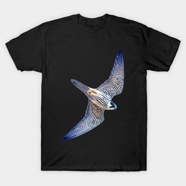 Hobby Cutout Art T-Shirt by barn-of-nature